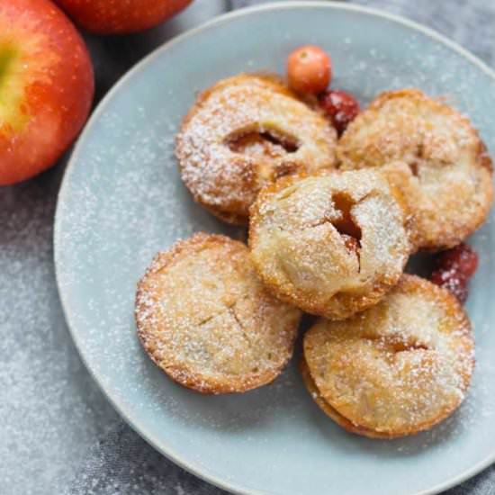 Cranberry Apple Mini Pies - Recipe photo by feelgoodfoodie1