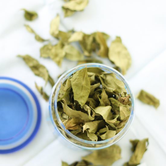 How to Preserve Fresh Curry Leaves - Recipe photo by MyWeekendKitchen