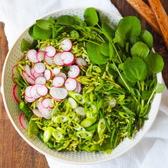 Spring Orzo Salad with Pesto - Recipe photo by Avocado A Day