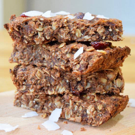 Chocolate Cranberry Granola Bars - Recipe photo by earthpoweredfamily