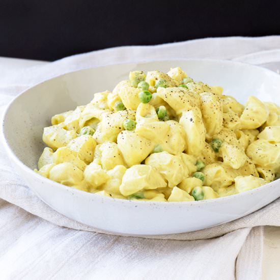 Creamy Vegan Pasta Sauce - Recipe photo by ebrees