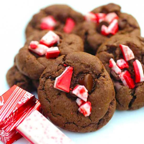 Chocolate Peppermint Cookies - Recipe photo by five silver spoons