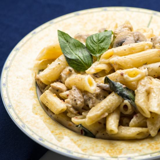 Chicken Pasta in White sauce - Recipe photo by meemiskitchen