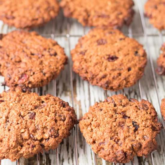 Chocolate Cranberry Cookies - Recipe photo by neilshealthymeals