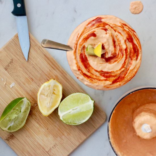 Spicy Roasted Red Pepper Hummus - Recipe photo by foodgalleygab