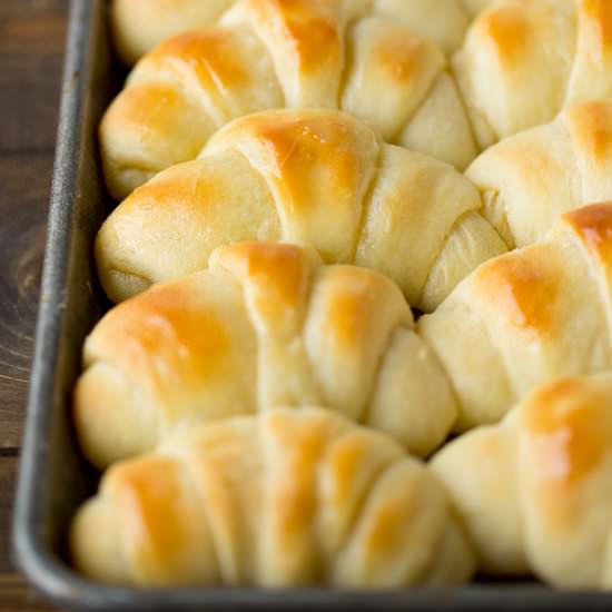 Worlds Best Potato Rolls - Recipe photo by yourcupofcake