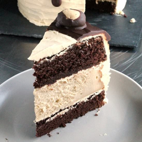 Buckeye Cheesecake Cake - Recipe photo by TheSpiffyCookie
