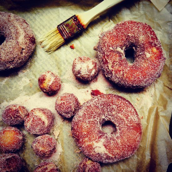 Apple Cider Doughnuts - Recipe photo by jessie sheehan bakes