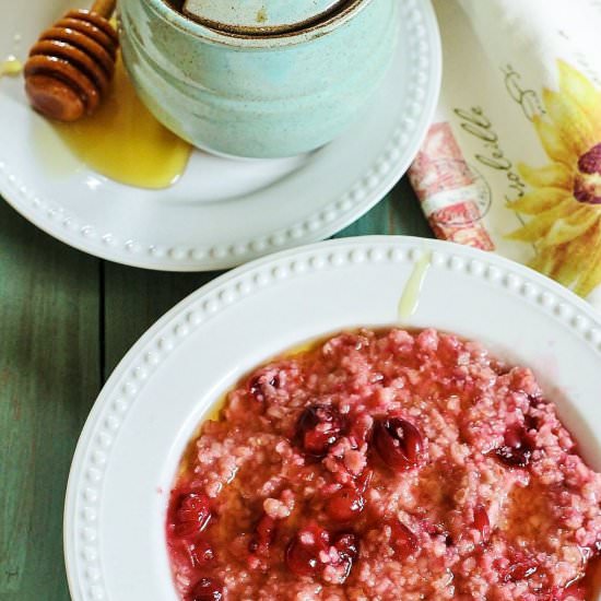 Cranberry Oatmeal - Recipe photo by syrupandbiscuits