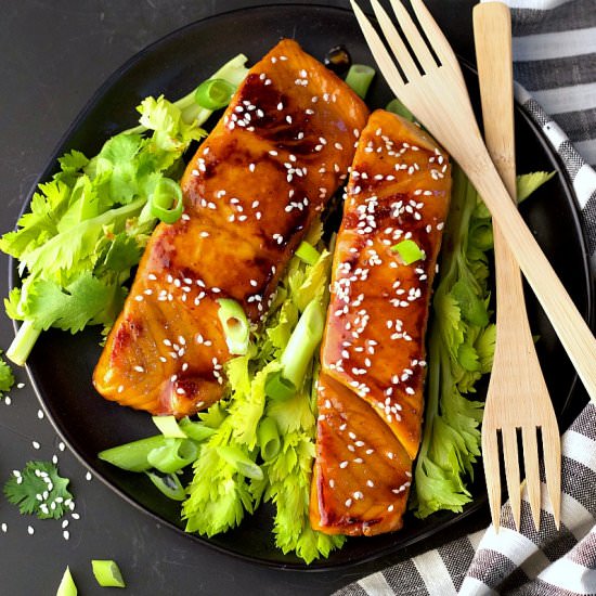 Instant Pot Soy-Free Asian Salmon - Recipe photo by Garden in the kitchen
