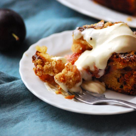 Plum Crumble Cake - Recipe photo by Theliterarychef