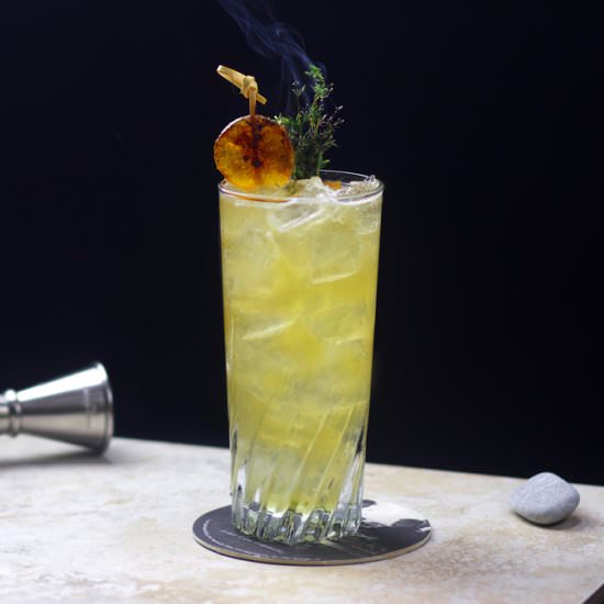 Easy Mustard Cocktail - Recipe photo by flairprojectsb