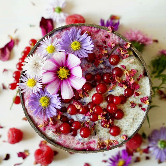 Layered Chia Pudding - Recipe photo by breakfastwithflowers