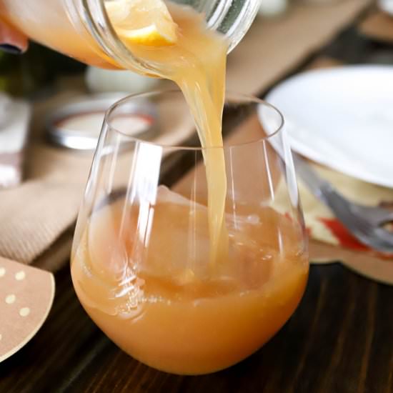 Bourbon Apple Cider Spritzer - Recipe photo by FunnyLoveLindsay
