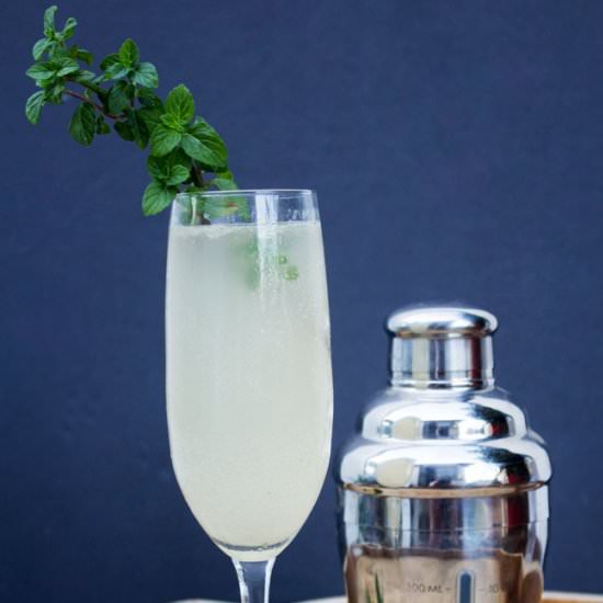 Grey Goose Le Fizz - Recipe photo by Horses &amp; Heels