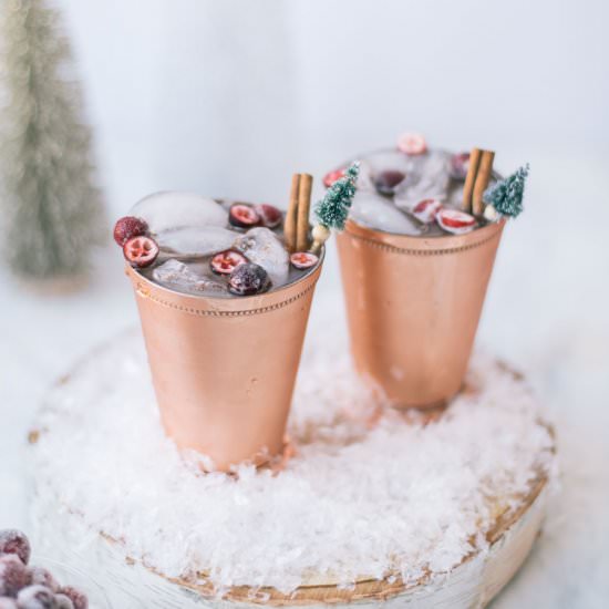 Cranberry Apple Cider Moscow Mules - Recipe photo by theblondielocks