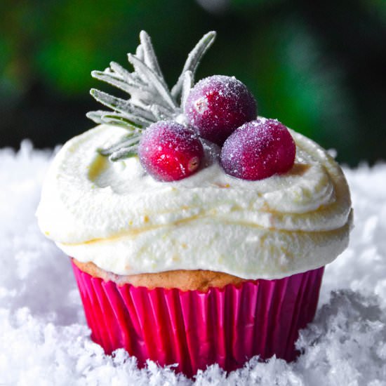 Cranberry Cupcakes - Recipe photo by PoLaBaker