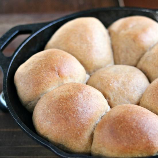 Whole Wheat Dinner Rolls - Recipe photo by KyleeCooks