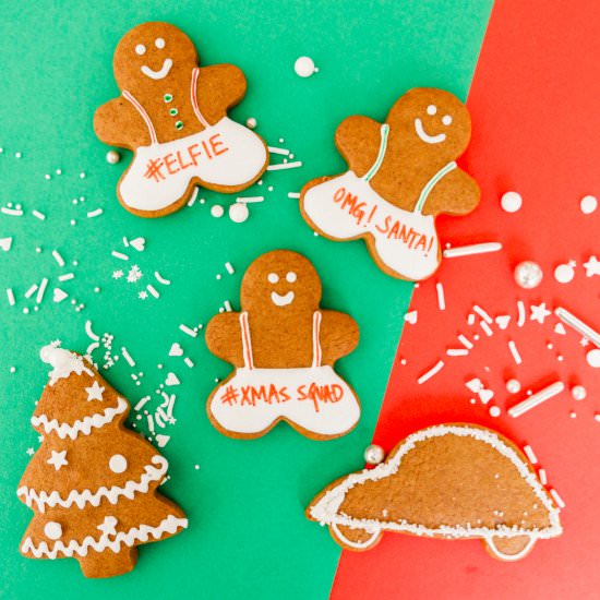 Gingerbread Cookies - Recipe photo by The Sweet Nerd