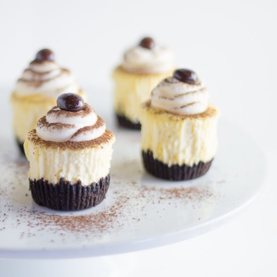 Mini Cheesecakes - Recipe photo by artzyfoodie