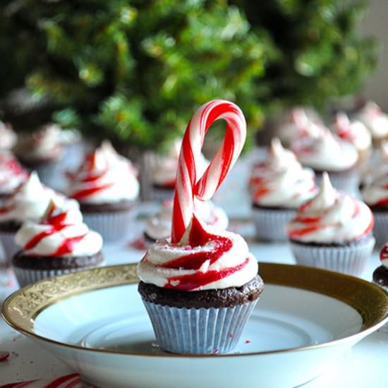 Chocolate Peppermint Mini Cupcakes - Recipe photo by BatterandDough