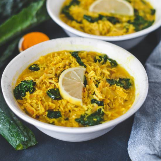 Cold-Busting Chicken Orzo Soup - Recipe photo by mymoderncookery