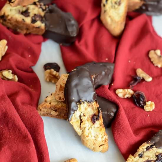 Chocolate Cranberry Walnut Biscotti - Recipe photo by robinterry1