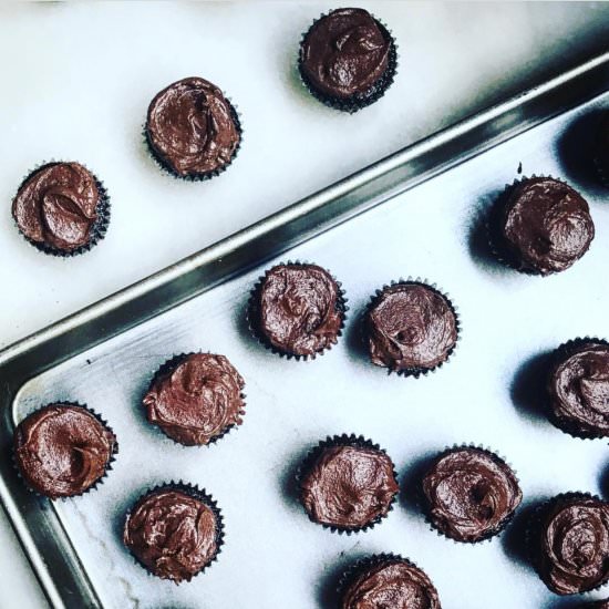 chocolate bourbon mini cupcakes - Recipe photo by jessie sheehan bakes