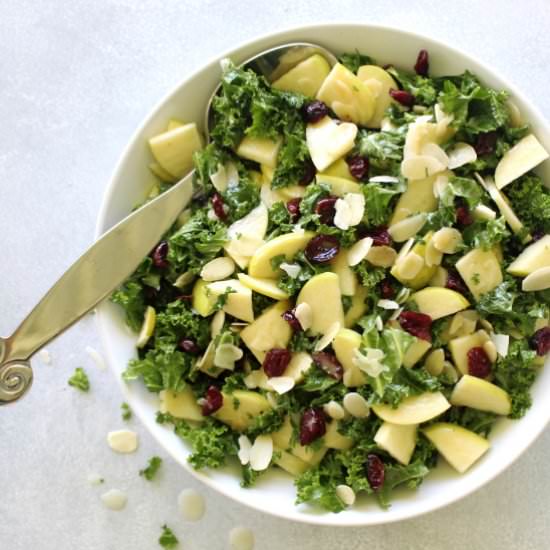 Kale Apple Cranberry Salad - Recipe photo by berry sweet life