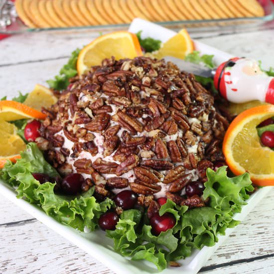 Cranberry Orange Cheese Ball - Recipe photo by Baked_Broiled_Basted