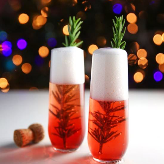 Cranberry Rosemary Prosecco Drink - Recipe photo by Tastefulventure