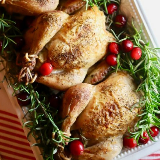 Game Hens with Cranberry Stuffing - Recipe photo by Grits and Pinecones