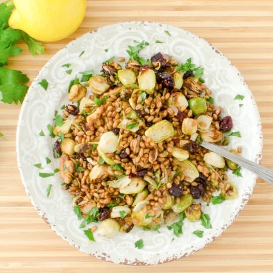 Wheat Berry Brussels Sprouts Salad - Recipe photo by palouse_brand