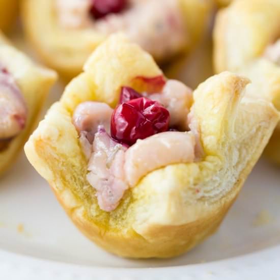 Sweet Cream Cheese Cranberry Tarts - Recipe photo by TheCozyCook