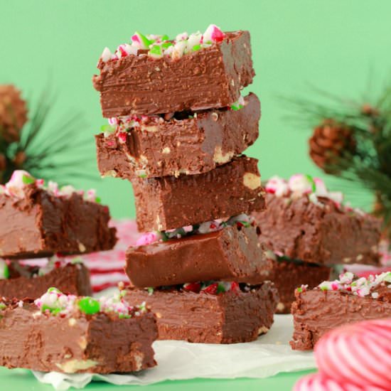 Vegan Chocolate Peppermint Fudge - Recipe photo by lovingitvegan