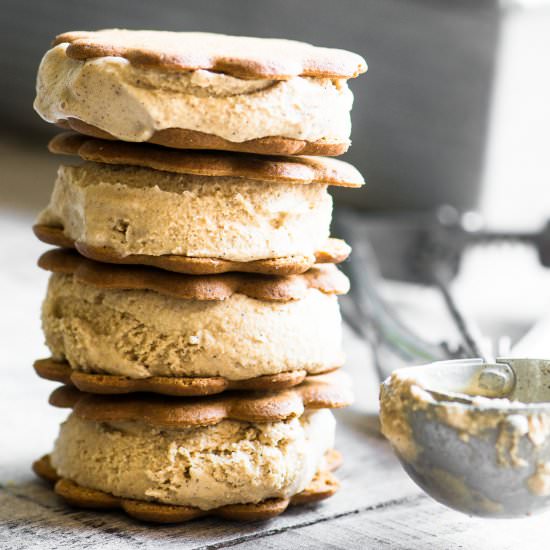 Homemade Gingerbread Ice Cream - Recipe photo by theviewfromgreatisland