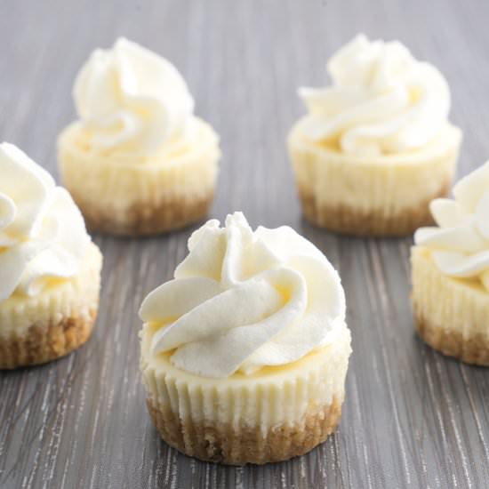 Mini Cheesecakes - Recipe photo by feelgoodfam