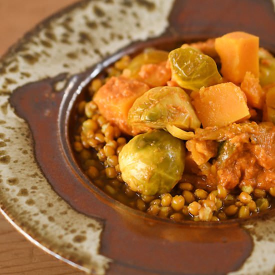 Brussels Sprouts & Butternut Curry - Recipe photo by geekypoet
