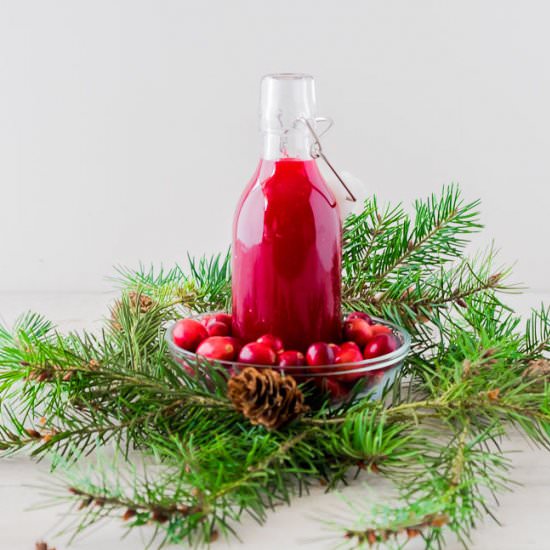 Quick Easy Cranberry coulis - Recipe photo by butterchantilly