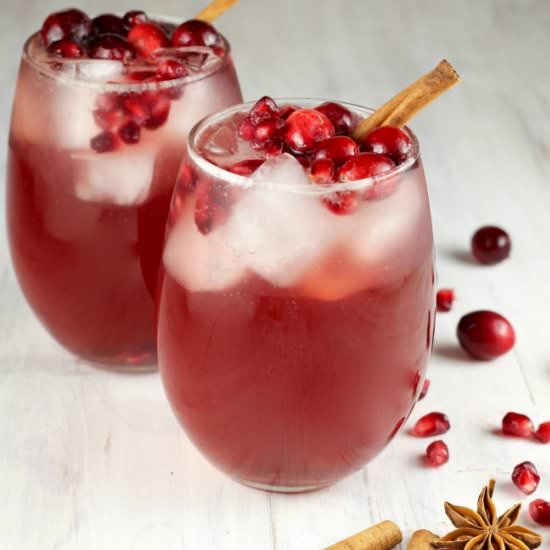 Cranberry Wine Punch - Recipe photo by missinthekitchen