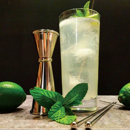 The Classic Mojito - Recipe photo by ABarAbove