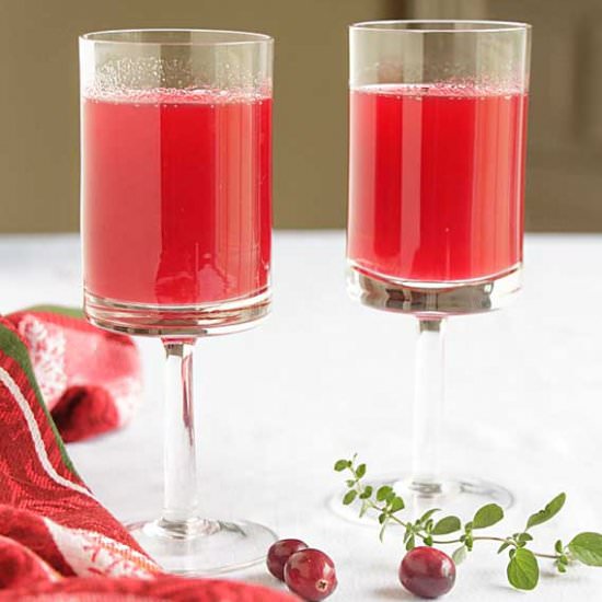Homemade Cranberry Juice - Recipe photo by iwilkerson