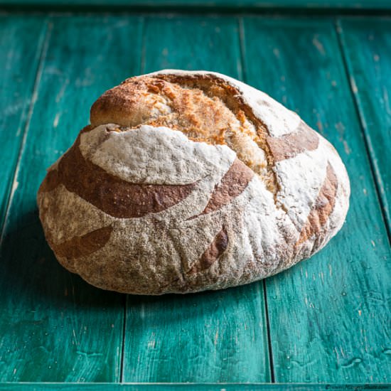 Tartine durum bread - Recipe photo by denisav