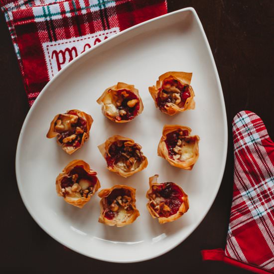Orange Cranberry Brie Tarts - Recipe photo by jessbeecreates