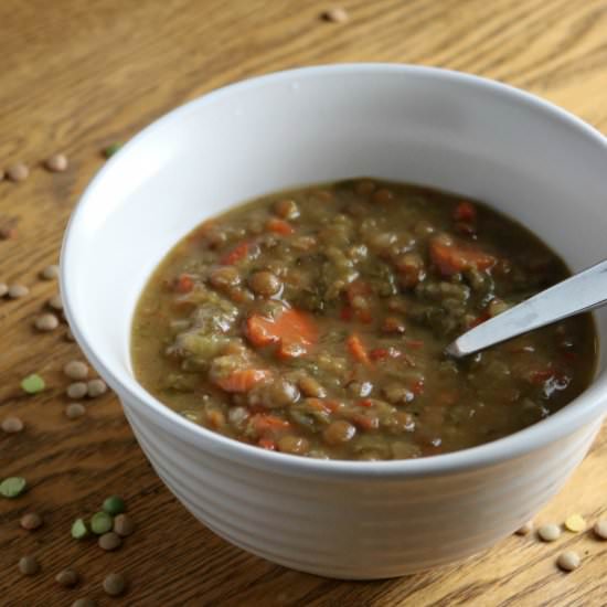 Instant Pot Lentil Soup Recipe - Recipe photo by AlmostPractical