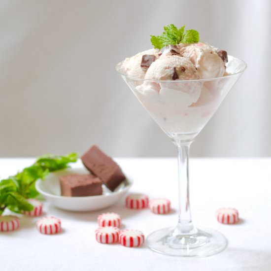 Peppermint fudge Ice Cream - Recipe photo by the good eats co
