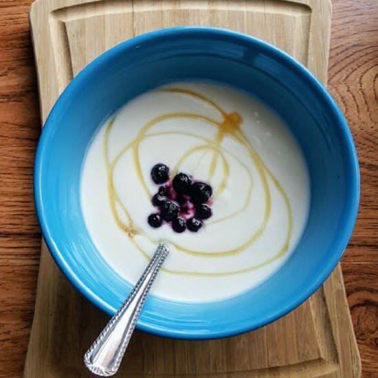 Crockpot Honey Vanilla Yogurt - Recipe photo by SweetenedEndeavors
