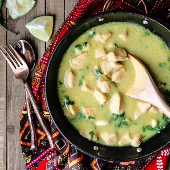 Quick Coconut Lime Chicken Curry - Recipe photo by teaforturmeric