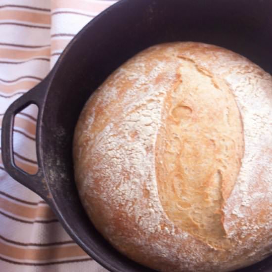 Cast Iron Pot No Knead Bread - Recipe photo by kitchencoup