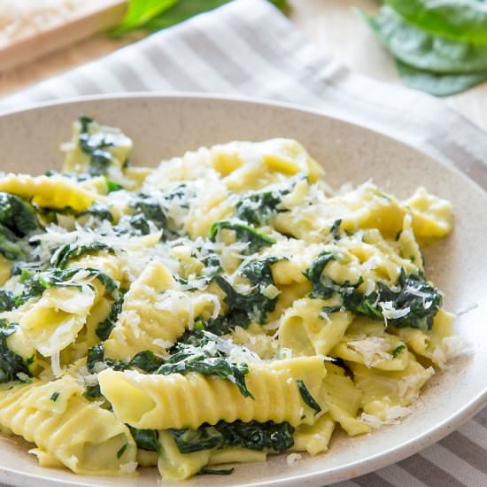 Garganelli w/ Creamy Spinach Sauce - Recipe photo by ItalianRecipeBook